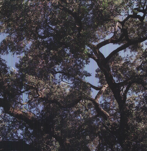 Charles Manson - Trees
