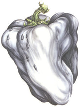Load image into Gallery viewer, Ween - White Pepper [green]
