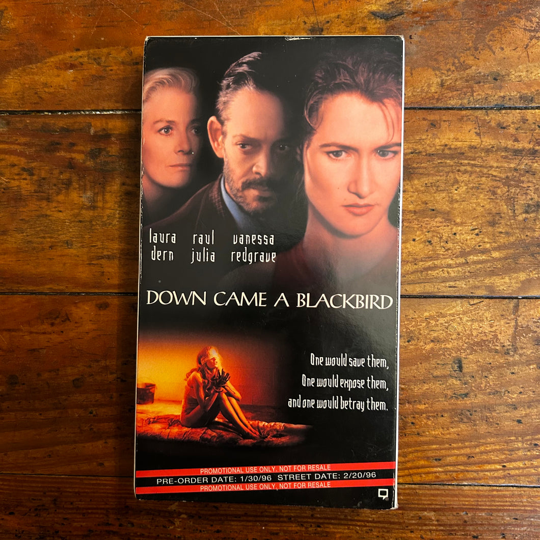 Down Came a Blackbird (1995) PROMO VHS