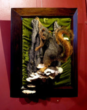 Load image into Gallery viewer, Squirrel On Oak
