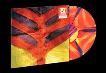 Load image into Gallery viewer, Yeah Yeah Yeahs - Show Your Bones [Orange, Yellow, Purple]
