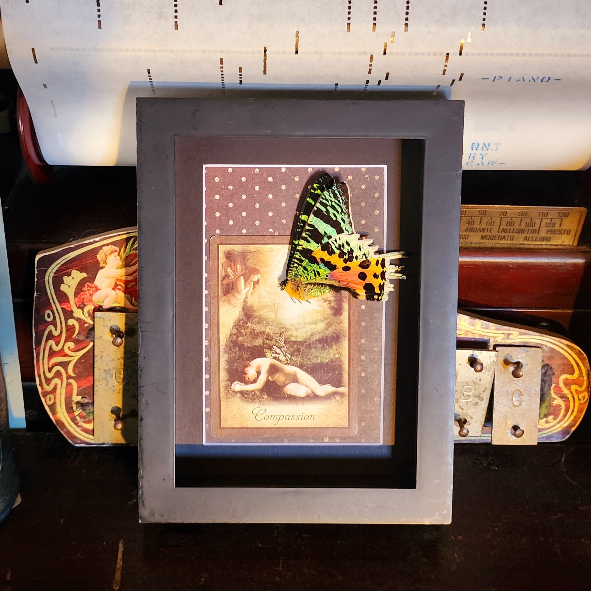 Sunset Moth Compassion Oracle Card – Hail - Records and Oddities
