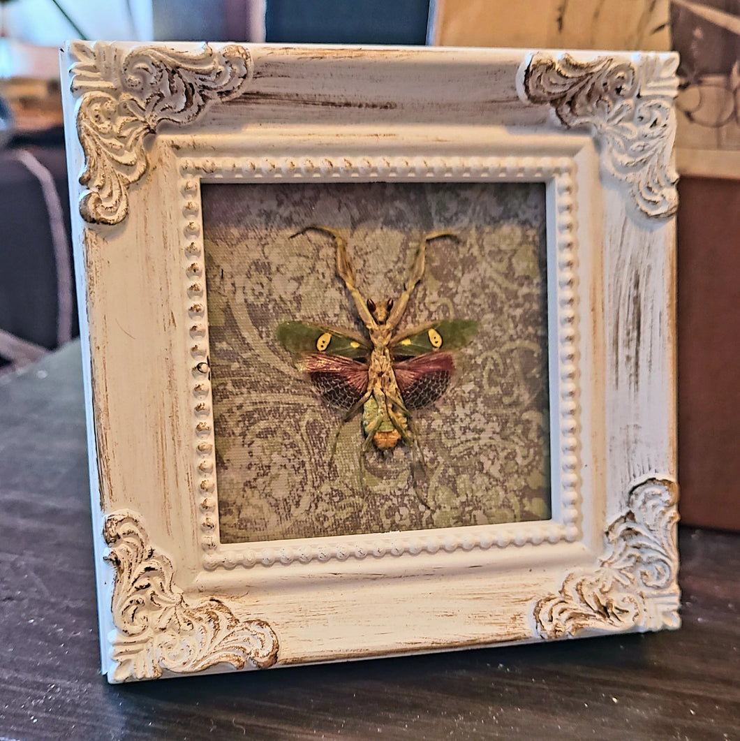 Jeweled Flower Mantis - Antiqued Frame