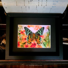 Load image into Gallery viewer, Sunset Moth
