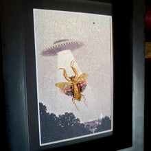 Load image into Gallery viewer, Mantis UFO Abduction
