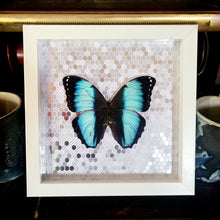 Load image into Gallery viewer, Morpho Butterfly Silver
