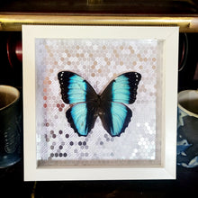 Load image into Gallery viewer, Morpho Butterfly Silver
