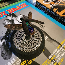 Load image into Gallery viewer, Jewel Beetle Globe
