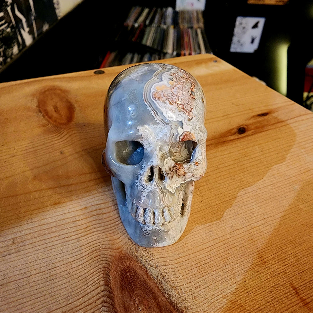 CRAZY LACE AGATE SKULL