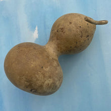 Load image into Gallery viewer, BIRDHOUSE GOURD - SEEDS -
