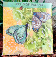 Load image into Gallery viewer, BELLS OF IRELAND - SEEDS -
