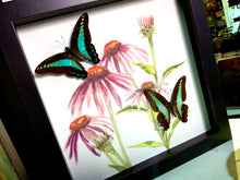 Load image into Gallery viewer, Butterfly Friends on Echinacea Coneflower
