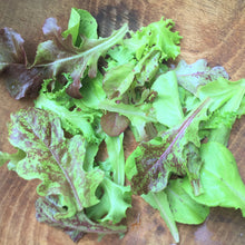 Load image into Gallery viewer, Metta Lettuce Mix - Seeds
