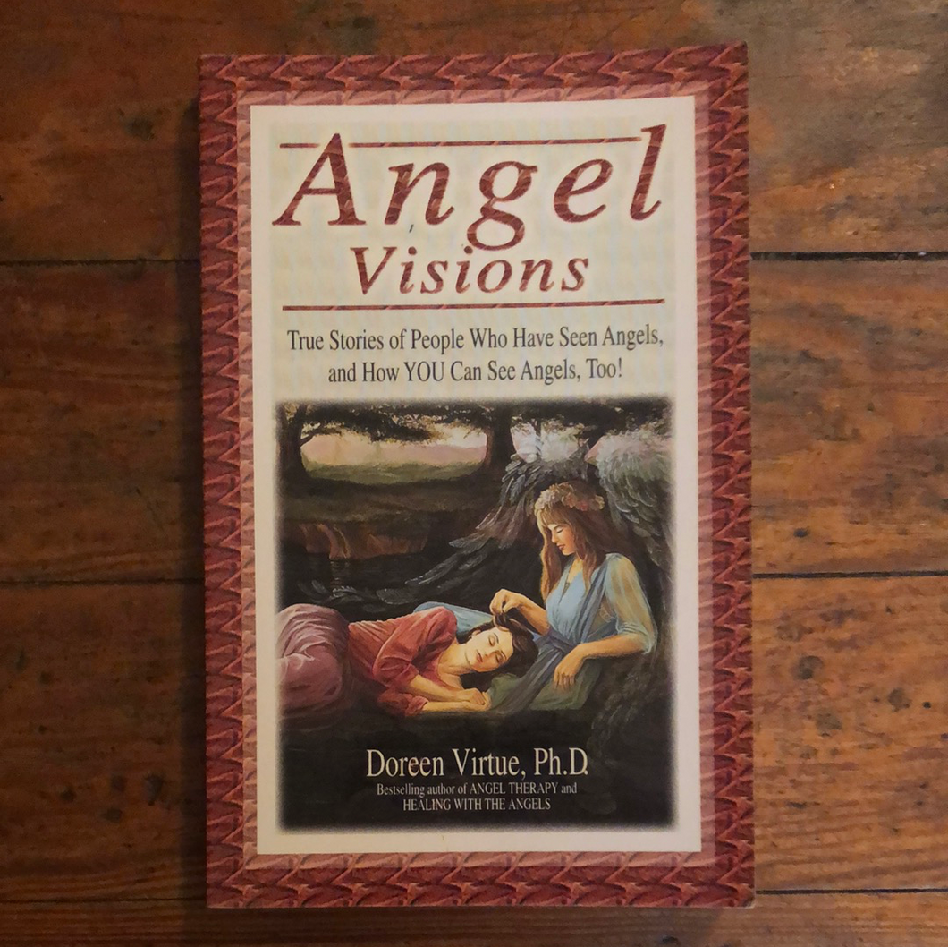 Angel Visions: True Stories of People Who Have Seen Angels and How YOU Can See Angels Too! -PAPERBACK