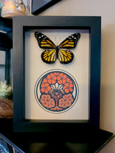 Load image into Gallery viewer, Monarch Butterfly
