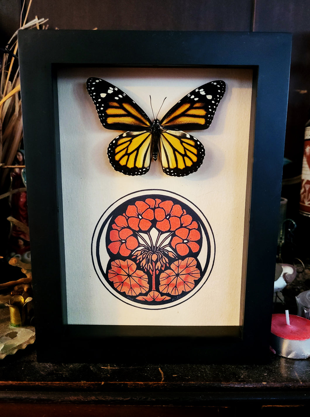 Monarch Butterfly