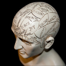 Load image into Gallery viewer, Phrenology Head
