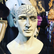 Load image into Gallery viewer, Phrenology Head
